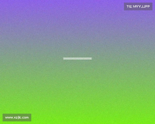 法比奥席尔瓦倾向加盟罗马但多特报价更具吸引力