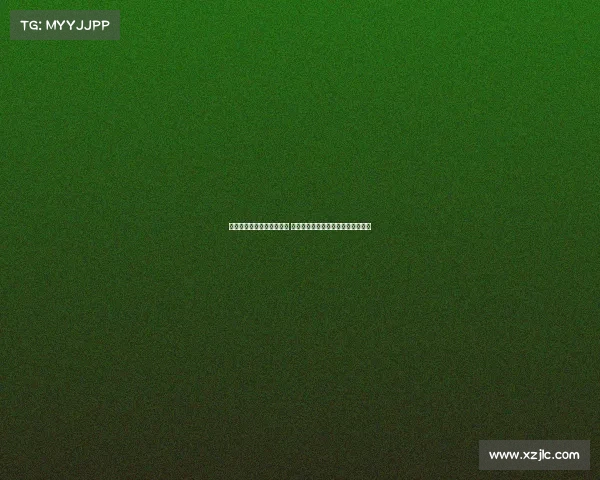 阿德耶米谈吉拉西独特风格 科瓦奇每天激励球队专注于核心目标