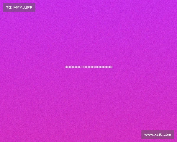 狼堡队长阿诺德与中国U16球员面对面交流 分享足球经验与成长心得