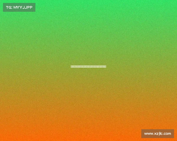 法甲联赛友谊赛精彩回顾：各队实力较量与新赛季前瞻