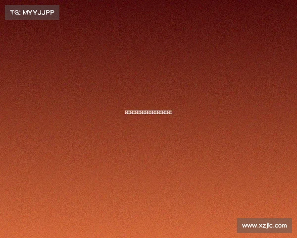 谢什科与经纪人放弃部分收入促成转会完成