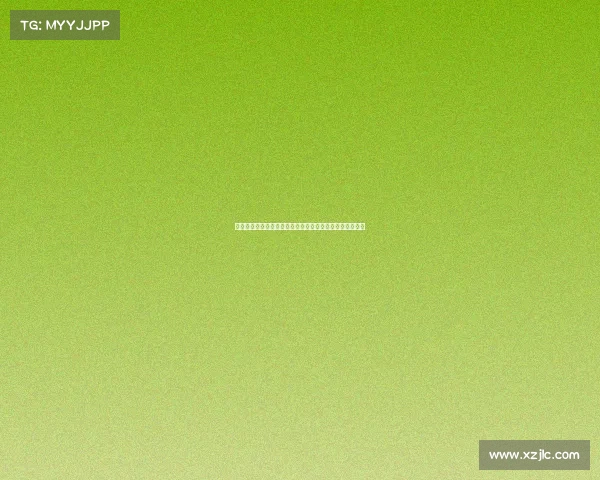 莱切体育总监卡马尔达奖金条款不成焦点球队目标更为明确